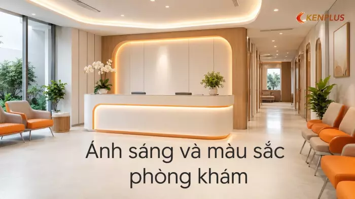 Ánh sáng và màu sắc phòng khám: giảm cảm giác lo lắng cho bệnh nhân