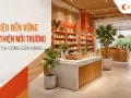 Vật liệu bền vững, thân thiện môi trường trong thi công cửa hàng