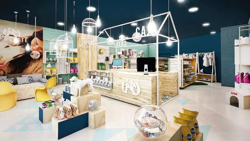 Gợi ý 20 mẫu thiết kế spa thú cưng độc đáo mà ấn tượng