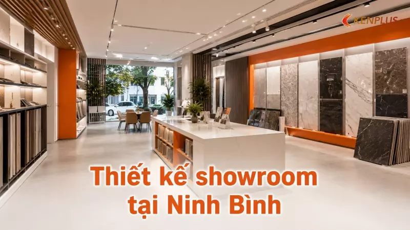 Thiết kế showroom tại Ninh Bình: ý tưởng không gian trưng bày thu hút khách
