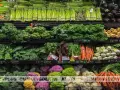 Thiết kế cửa hàng rau sạch tại Hà Nội