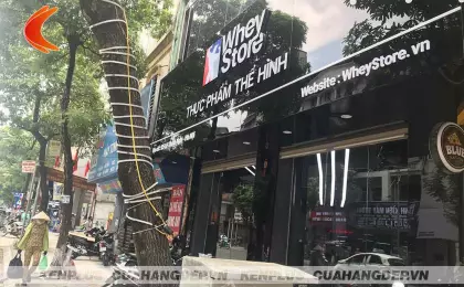 Thi công shop thực phẩm thể hình Whey Store tại Hà Nội