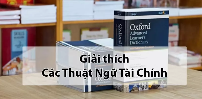 Giải thích các thuật ngữ sử dụng cơ bản trong ứng dụng tính điểm hòa vốn