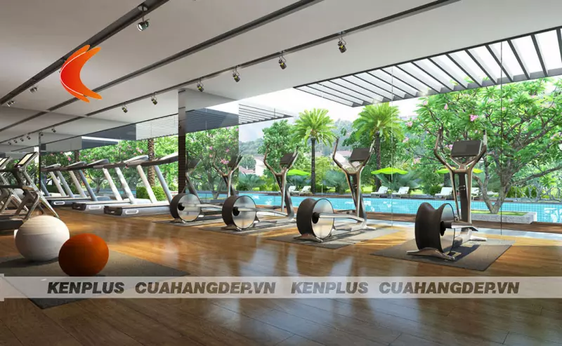 Ý tưởng thiết kế phòng tập gym đẹp hút khách