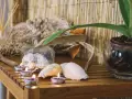 Thiết kế spa dưỡng sinh đông y trị liệu ấn tượng, thu hút mọi khách hàng